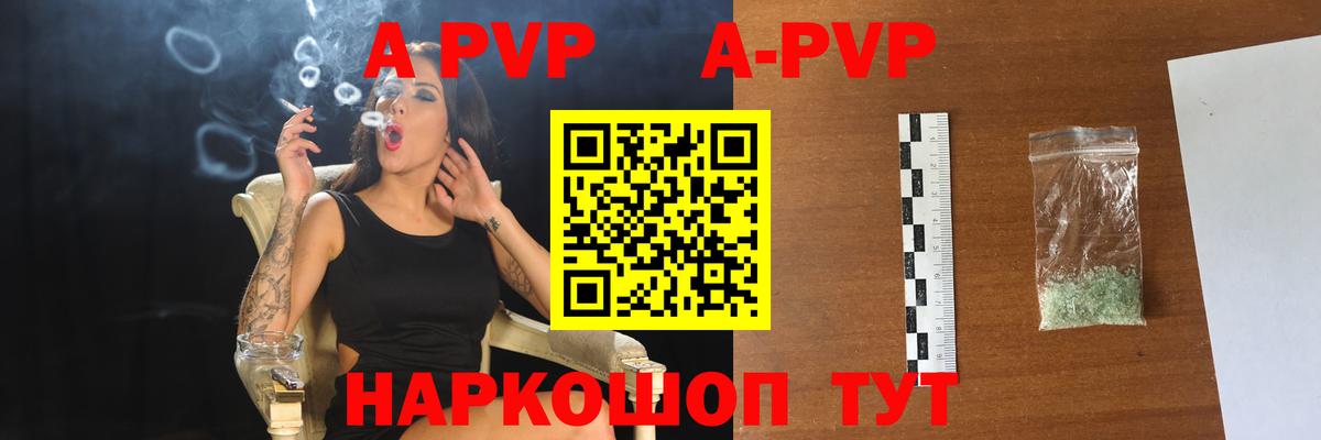APVP СК КРИС  A PVP СК КРИС  Кудымкар  Вход с VPN 