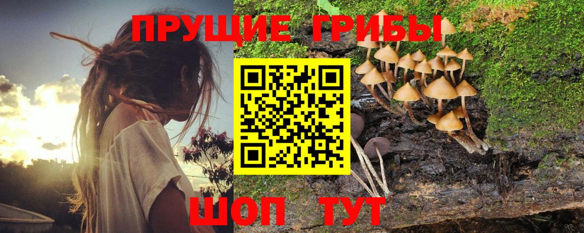 Галлюциногенные грибы прущие грибы Кудымкар