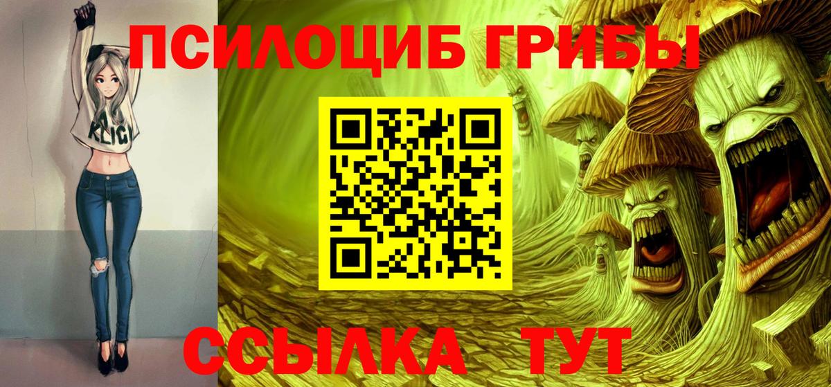 Галлюциногенные грибы мицелий  Псилоцибиновые грибы Psilocybe  Кудымкар  Вход с VPN 