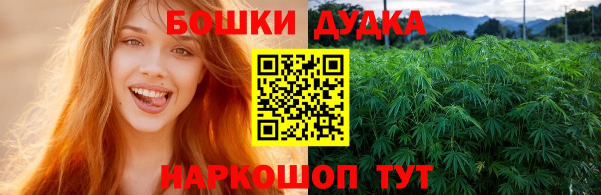 Бошки Шишки план Кудымкар